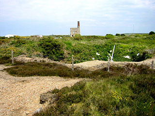 Phase 1, 2, 3 and 4 Contaminated Land Reports