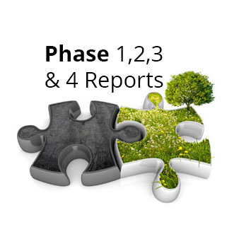 Phase 1, 2, 3 and 4 Reports